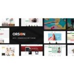 Orson WordPress Theme for Online Stores Official Licence