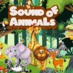Sounds of Animal Game - Educational Game - HTML5, Construct 3 - Official Licence